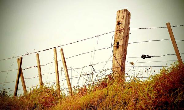 球速体育承办的中国体育科技发展论坛现场盛况图